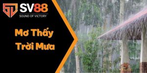 Mơ Thấy Trời Mưa Có Nghĩa Như Thế Nào? Nên Vào Con Số Nào? 5 giấc mơ thấy trời mưa