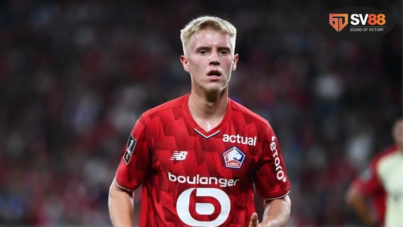 Soi kèo bóng đá Lille vs Brann, 23h45 ngày 25/9, 3 điểm khó dành 2 Soi kèo bóng đá Lille vs Brann, 23h45 ngày 25/9, 3 điểm khó dành